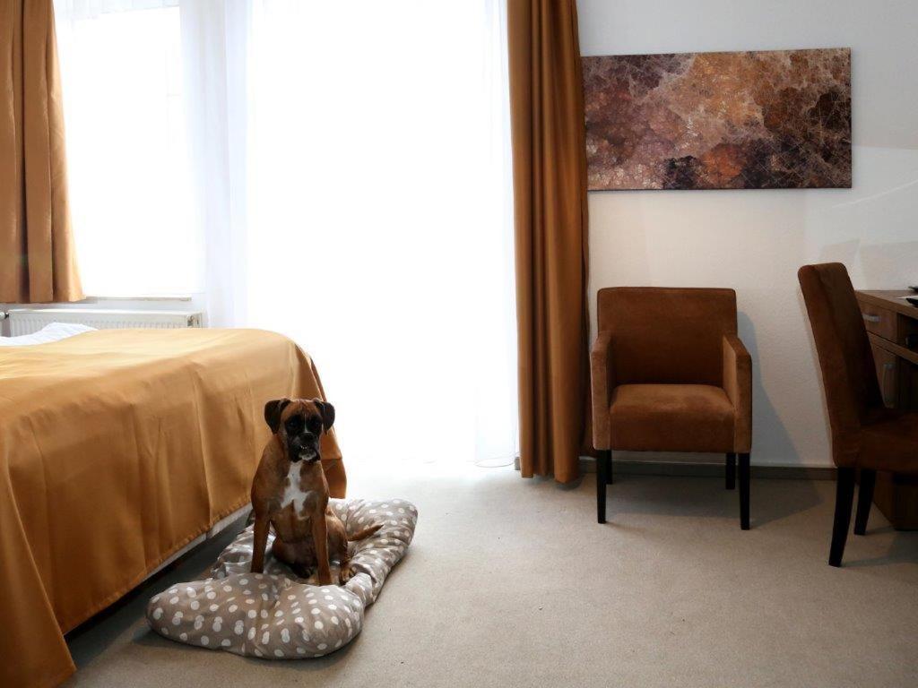 Arthotel Bad Pyrmont Luaran gambar